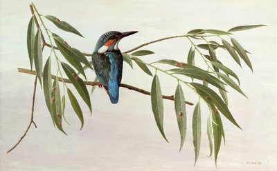  av Raymond Booth