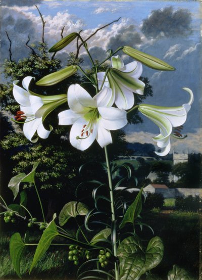  av Raymond Booth