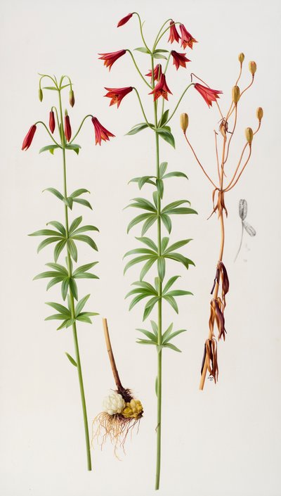  av Raymond Booth