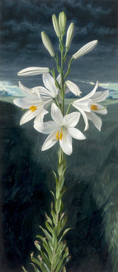 av Raymond Booth