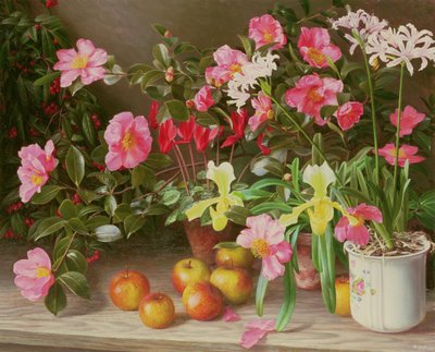  av Raymond Booth