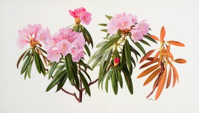  av Raymond Booth