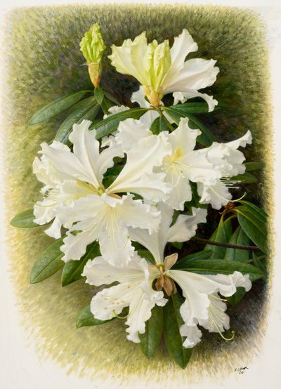  av Raymond Booth
