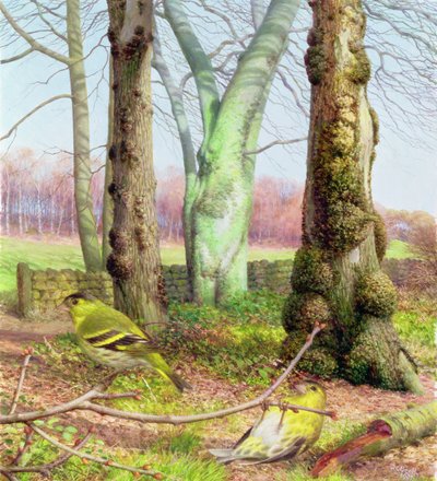  av Raymond Booth