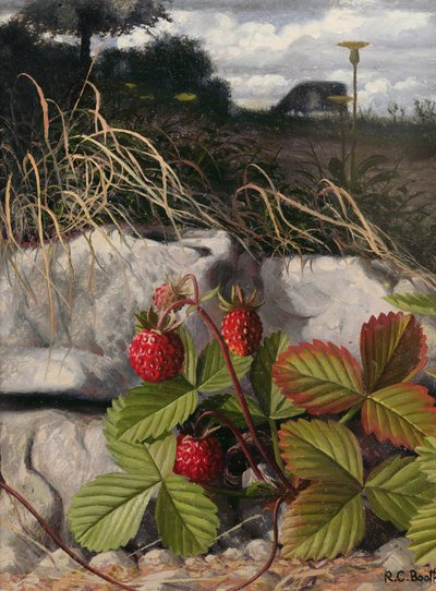  av Raymond Booth