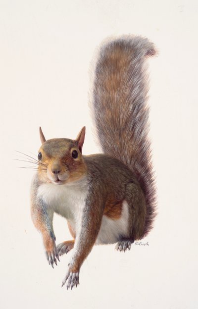  av Raymond Booth