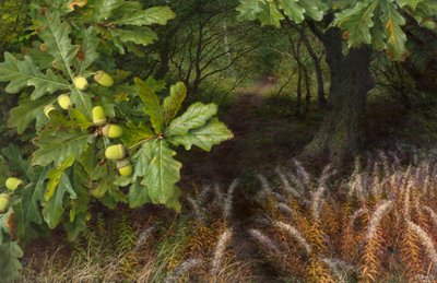  av Raymond Booth