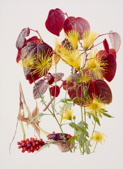  av Raymond Booth