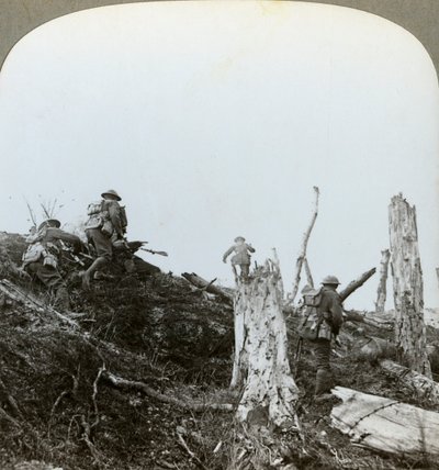 Overgrep i Trones Wood, Somme, Frankrike, første verdenskrig, 1916 av Realistic Travels Publishers