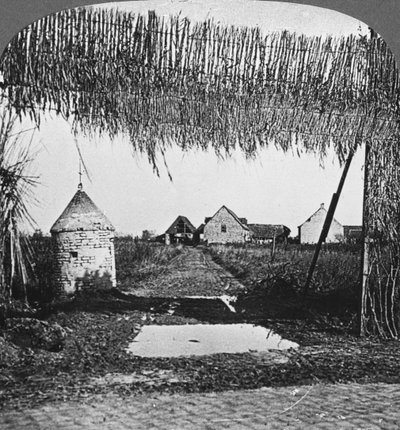 Genial kamuflasje, første verdenskrig, c1914-c1918. av Realistic Travels Publishers