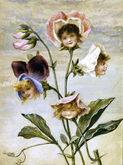 Geranium & Sweet Pea - Blomsterbarn - et par (akvarell og kroppsfarge på papir) av Rebecca Coleman