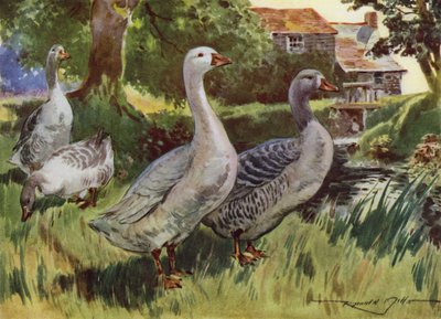 Illustrasjon for My Farm (farge litho) av Reginald Mills