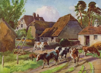 Illustrasjon for My Farm (farge litho) av Reginald Mills
