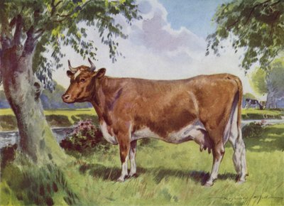 Illustrasjon for My Farm (farge litho) av Reginald Mills