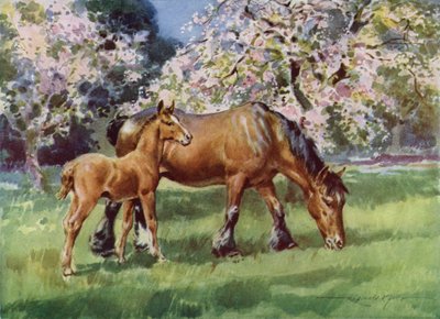 Illustrasjon for My Farm (farge litho) av Reginald Mills