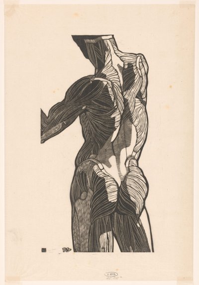 Anatomisk studie av en manns rygg og setemuskler av Reijer Stolk