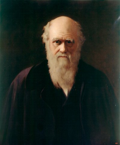 Charles Darwin (olje om bord) av Reilly Reilly