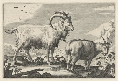 Kupert landskap med to geiter Diversa Animalia Quadrupedia (serietittel) av Reinier van Persijn