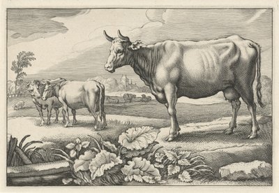 Beite med kyr Diversa Animalia Quadrupedia (serietittel) av Reinier van Persijn
