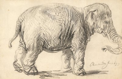 An Elephant av Rembrandt van Rijn