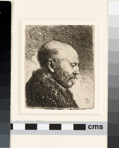 Skallet mann i profil ikke sant: Rembrandts far? av Rembrandt van Rijn