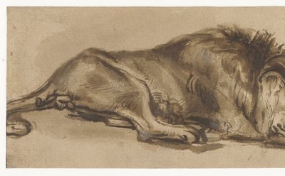 Studie av en løve som sover av Rembrandt van Rijn (copy after)