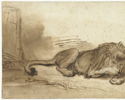 Tilbakelent løve med forpoten over snuten av Rembrandt van Rijn (school of)