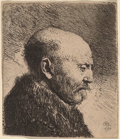 En skallet mann i profil (kunstnerens far?) av Rembrandt van Rijn