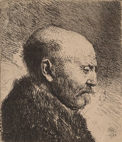 En skallet mann i profil kunstnerens far, 1630. av Rembrandt van Rijn
