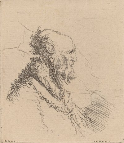 Skallet gammel mann med kort skjegg i profil, ca. 1635. av Rembrandt van Rijn
