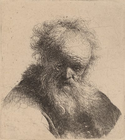 Byste av en gammel mann med flytende skjegg og hvit erme, ca. 1630. av Rembrandt van Rijn