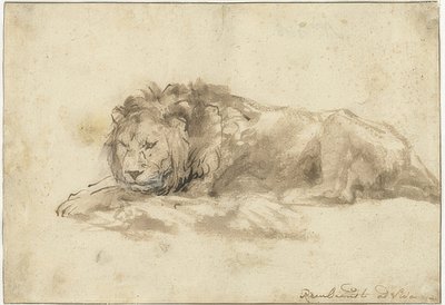 Liggende løve (Liggende leeuw). 1650-59 av Rembrandt van Rijn