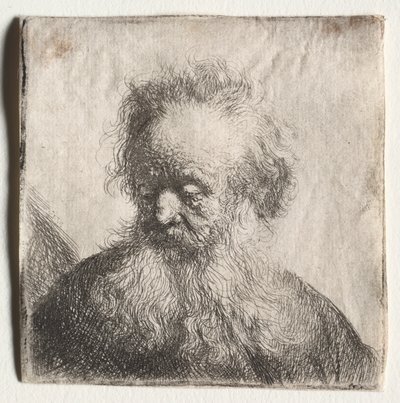 Gammel mann med flytende skjegg: Byste, 1631. av Rembrandt van Rijn