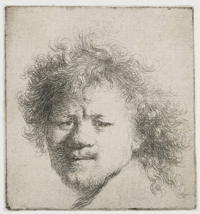 Selvportrett med langt buskete hår: kun hode av Rembrandt van Rijn