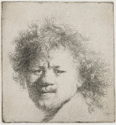 Selvportrett med langt buskete hår: kun hode, ca 1631. av Rembrandt van Rijn