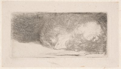  av Rembrandt van Rijn
