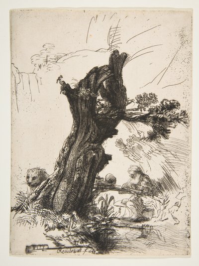 St. Jerome ved siden av en Pollard Willow, 1648. av Rembrandt van Rijn