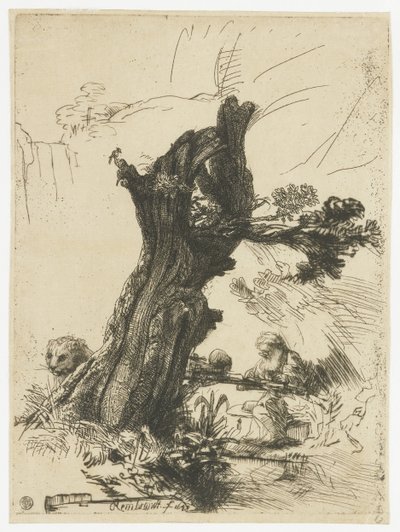 St. Jerome ved siden av en selje av Rembrandt van Rijn