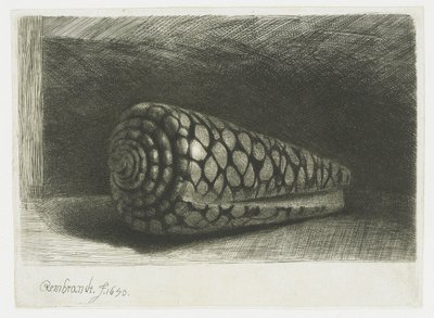 Skallet av Rembrandt van Rijn