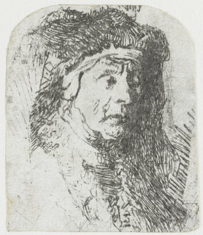 Kvinne i en pelstrimmet kappe Byste av en gammel kvinne i pelskappe og kraftig hodeplagg av Rembrandt van Rijn