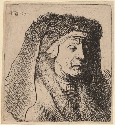 Byste av en gammel kvinne i en pelskappe og kraftig hodeplagg av Rembrandt van Rijn and Studio of Rembrandt