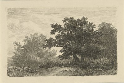 Trær ved en sølepytt av Remigius Adrianus Haanen
