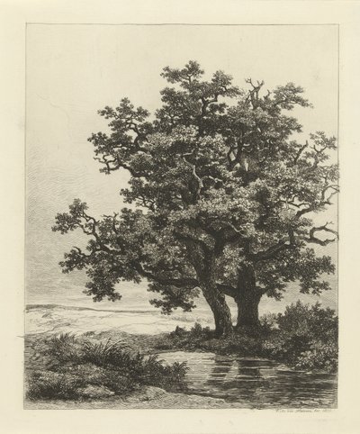 To eiker på en innsjø av Remigius Adrianus Haanen