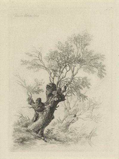 piletre av Remigius Adrianus Haanen