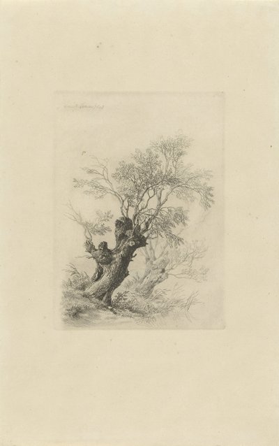 piletre av Remigius Adrianus Haanen