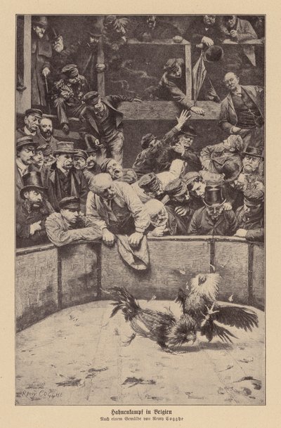  av Remy Cogghe