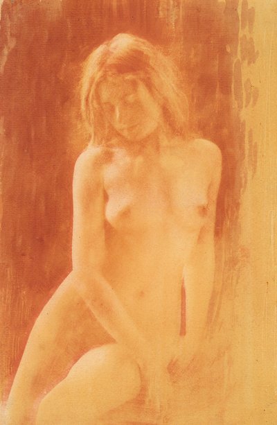 [Studie i oransje], 1904. av René Le Bègue