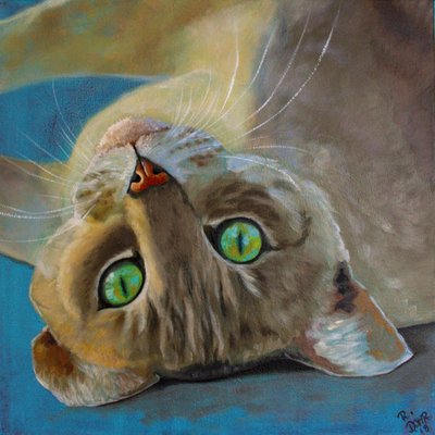 Kattelykke av Renate Dohr