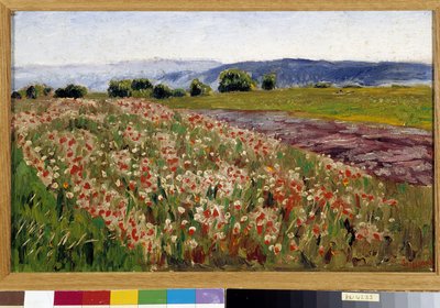 Valmuefeltet (maleri) av Rene Auguste Seyssaud