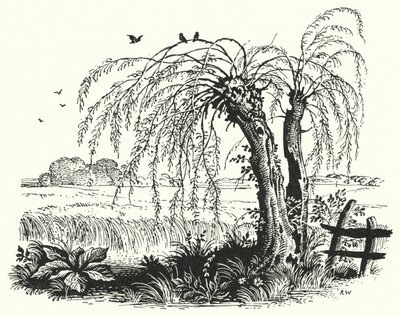 HC Andersen: Bokhveten (litho) av Rex (after) Whistler